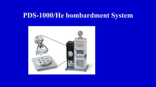PDS-1000/He bombardment System
 