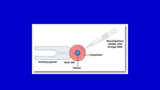Agrobacterium Infection.ppt
