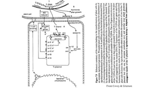 From Covey & Grierson
 