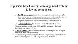 Ti plasmid based vectors were organized with the
following components
• A selectable marker gene that confers resistance to transformed plant cells.
– As these marker genes are prokaryotic origin, it is necessary to put them under the eukaryotic
control (plant) of post transcriptional regulation signals, including promoter and a
termination- poly adenylation sequence, to ensure that it is efficiently expressed in
transformed plant cells.
• An origin of replication that allows the plasmid to replicate in E.coli.
• The right border sequence of the T-DNA which is necessary for T-DNA
integration into plant cell DNA.
• A polylinker (MCS) to facilitate the insertion of cloned gene into the region
between T-DNA border sequences.
• As these cloning vectors so organized lacked vir genes, they cannot effect the
transfer and integration of T-DNA region into host plant cell.
 