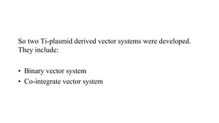 So two Ti-plasmid derived vector systems were developed.
They include:
• Binary vector system
• Co-integrate vector system
 