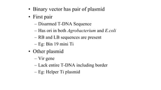 • Binary vector has pair of plasmid
• First pair
– Disarmed T-DNA Sequence
– Has ori in both Agrobacterium and E.coli
– RB and LB sequences are present
– Eg: Bin 19 mini Ti
• Other plasmid
– Vir gene
– Lack entire T-DNA including border
– Eg: Helper Ti plasmid
 