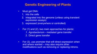 Genetic Engineering of Plants
• Must get DNA:
1. into the cells
2. integrated into the genome (unless using transient
expression assays)
3. expressed (everywhere or controlled)
• For (1) and (2), two main approaches for plants:
1. Agrobacterium - mediated gene transfer
2. Direct gene transfer
• For (3), use promoter that will direct expression when
and where wanted – may also require other
modifications such as removing or replacing introns.
 