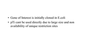 • Gene of Interest is initially cloned in E.coli
• pTi cant be used directly due to large size and non
availability of unique restriction sites
 