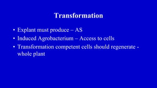 Transformation
• Explant must produce – AS
• Induced Agrobacterium – Access to cells
• Transformation competent cells should regenerate -
whole plant
 