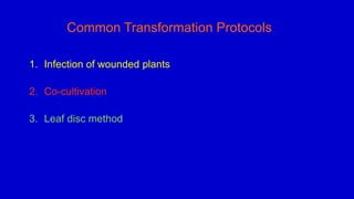1. Infection of wounded plants
2. Co-cultivation
3. Leaf disc method
Common Transformation Protocols
 