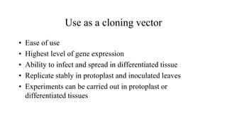 Use as a cloning vector
• Ease of use
• Highest level of gene expression
• Ability to infect and spread in differentiated tissue
• Replicate stably in protoplast and inoculated leaves
• Experiments can be carried out in protoplast or
differentiated tissues
 
