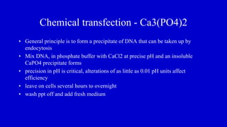 Chemical transfection - Ca3(PO4)2
• General principle is to form a precipitate of DNA that can be taken up by
endocytosis
• Mix DNA, in phosphate buffer with CaCl2 at precise pH and an insoluble
CaPO4 precipitate forms
• precision in pH is critical, alterations of as little as 0.01 pH units affect
efficiency
• leave on cells several hours to overnight
• wash ppt off and add fresh medium
 