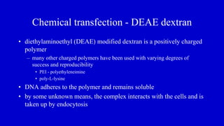 Chemical transfection - DEAE dextran
• diethylaminoethyl (DEAE) modified dextran is a positively charged
polymer
– many other charged polymers have been used with varying degrees of
success and reproducibility
• PEI - polyethyleneimine
• poly-L-lysine
• DNA adheres to the polymer and remains soluble
• by some unknown means, the complex interacts with the cells and is
taken up by endocytosis
 
