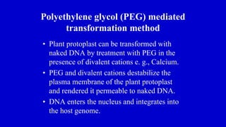 Polyethylene glycol (PEG) mediated
transformation method
• Plant protoplast can be transformed with
naked DNA by treatment with PEG in the
presence of divalent cations e. g., Calcium.
• PEG and divalent cations destabilize the
plasma membrane of the plant protoplast
and rendered it permeable to naked DNA.
• DNA enters the nucleus and integrates into
the host genome.
 