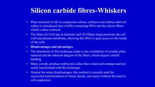 Silicon carbide fibres-Whiskers
• Plant materials (Cells in suspension culture, embryos and embryo-derived
callus) is introduced into a buffer containing DNA and the silicon fibers
which is then vortexed.
• The fibers (0.3-0.6 μm in diameter and 10-100μm long) penetrate the cell
wall and plasma membrane, allowing the DNA to gain access to the inside
of the cells.
• Disadvantages and advantages
• The drawbacks of this technique relate to the availability of suitable plant
material and the inherent dangers of the fibers, which require careful
handing.
• Many cereals, produce embryonic callus that is hard and compact and not
easily transformed with this technique.
• Despite the some disadvantages, this method is recently used for
successful transformation of wheat, baerly, and maize without the need to
cell suspension.
 