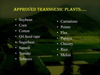 Approved Transgenic plants.....
• Soybean
• Corn
• Cotton
• Oil Seed rape
• Sugarbeet
• Squash
• Tomato
• Tobacco
• Carnations
• Potato
• Flax
• Papaya
• Chicory
• Rice
• Melon
 