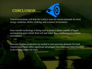 Transformed plants will help the world to meet the human demands for food,
energy, medicine, shelter, clothing, and a cleaner environment.
Gene transfer technology is being used to produce plants capable of hyper
accumulating toxic metals from soil and water, thus contributing to a cleaner
environment
Increases in plant production are needed to meet growing demands for food.
Transformed Plants offers significant advantages over traditional plant breeding
in developing improved crops.
CoNClusioN…..
 