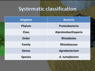 Agrobacterium mediated gene transfer | PPTX
