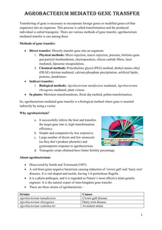 1
Transferring of gene is necessary to incorporate foreign genes or modified genes (of that
organism) into an organism. This process is called transformation and the produced
individual is called transgenic. There are various methods of gene transfer, agrobacterium
mediated transfer is one among them.
Methods of gene transfer:
 Direct transfer: Directly transfer gene into an organism.
1. Physical methods: Micro injection, macro injection, pressure, biolistic-gene
gun/particle bombardment, electroporation, silicon carbide fibres, laser
mediated, liposome encapsulation,
2. Chemical methods: Polyethylene glycol (PEG) method, diethyl amino ethyl
(DEAE) dextran mediated, calcium phosphate precipitation, artificial lipids,
proteins, dendrimers.
 Indirect transfer:
1. Biological methods: Agrobacterium tumifaciens mediated, Agrobacterium
rhizogenes mediated, plant viruses.
 In plants: Meristem transformations, floral dip method, pollen transformation.
So, agrobacterium mediated gene transfer is a biological method where gene is inserted
indirectly by using a vector.
Why agrobacterium?
a. It successfully infects the host and transfers
the target gene into it, high transformation
efficiency.
b. Simple and comparatively less expensive.
c. Large number of dicots and few monocots
(as they don’t produce phenolic) and
gymnosperms response to agrobacterium.
d. Transgenic crops obtained have better fertility percentage.
About agrobacterium:
 Discovered by Smith and Townsend (1907).
 A soil-born gram negative bacterium causing induction of ‘crown gall' and ‘hairy root'
diseases. It is rod shaped and motile, having 1-6 peritichous flagella.
 It is a phyto-pathogen, and it is regarded as Nature’s most effective plant genetic
engineer. It is the natural expert of inter-kingdom gene transfer.
 There are three strains of agrobacterium –
Strains Causes
Agrobacterium tumefaciens Crown gall disease
Agrobacterium rhizogenes Hairy root disease
Agrobacterium radiobacter Avirulent strain
Agrobacterium Mediated Gene Transfer
Crown gall in sugar beet caused by
agrobacterium
 
