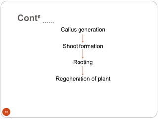 Contn
……
Callus generation
Shoot formation
Rooting
Regeneration of plant
18
 