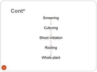 Contn
Screening
Culturing
Shoot initiation
Rooting
Whole plant
20
 