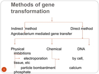 Methods of gene
transformation
Indirect method Direct method
Agrobacterium mediated gene transfer
Physical Chemical DNA
imbibitions
electroporation by cell,
tissue, etc
particle bombardment calcium
phosphate
5
 