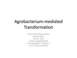 Agrobacterium-mediated
Transformation
Prepared and Presented by:
Deepika Rana
Roll No. 1601
Biotechnology(MB 204)
Microbiology(2nd Semester)
M.D. University, Rohtak
 