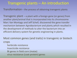 Transformation – the process of obtaining transgenic plants
Transgenic plant – a plant with a foreign gene (or genes) from
another plant/animal that is incorporated into its chromosome
Marc Van Montagu and Jeff Schell, discovered the gene transfer
mechanism between Agrobacterium and plants,which resulted in
the development of methods to alter the bacterium into an
efficient delivery system for genetic engineering in plants.
Most common genes (and traits) in transgenic or biotech
crops
herbicide resistance
Insecticide resistance
Bt genes in field corn (maize)
virus-resistance (coat-protein) genes
Transgenic plants – An introduction
 