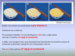 Golden rice contains increased levels of pro-vitamin A .
Traditional rice is white (a).
The prototype of golden rice was developed in 2000 and is a light yellow
color (b). It contains 1.6 mg/g of carotenoid.
In 2005, new transgenic lines were developed that dramatically increased the amount of
carotenoid synthesized, making the rice a deep golden color (c).
This latest form contains 37 mg/g of carotenoid
karthikumarbt@kcetvnr.org 17
 