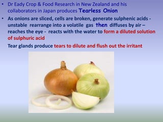 • Dr Eady Crop & Food Research in New Zealand and his
collaborators in Japan produces Tearless Onion
• As onions are sliced, cells are broken, generate sulphenic acids -
unstable rearrange into a volatile gas then diffuses by air –
reaches the eye - reacts with the water to form a diluted solution
of sulphuric acid
Tear glands produce tears to dilute and flush out the irritant
 
