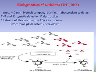 Biodegradation of explosives (TNT, RDX)
Aresa – Danish biotech company planting tabacco plant to detect
TNT and Enzymatic detection & destruction
19 strains of Rhodoccus – use RDX as N2 source
Cytochrome p450 system - breakdown
karthikumarbt@kcetvnr.org 23
 