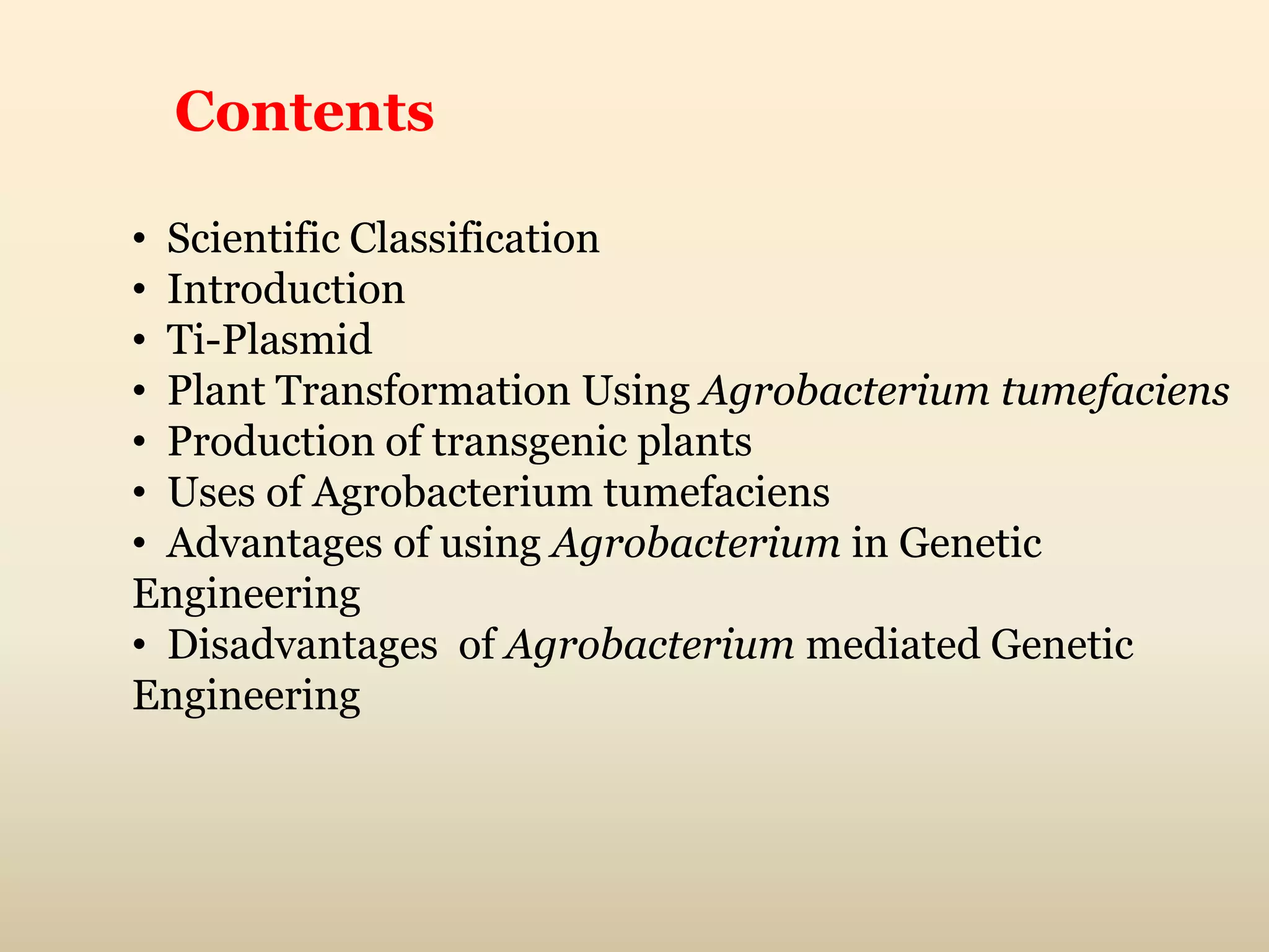 Agrobacterium tumefacience | PPTX