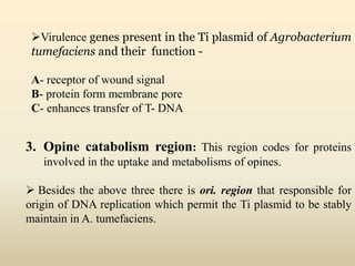 Virulence genes present in the Ti plasmid of Agrobacterium
tumefaciens and their function -
A- receptor of wound signal
B- protein form membrane pore
C- enhances transfer of T- DNA
3. Opine catabolism region: This region codes for proteins
involved in the uptake and metabolisms of opines.
 Besides the above three there is ori. region that responsible for
origin of DNA replication which permit the Ti plasmid to be stably
maintain in A. tumefaciens.
 