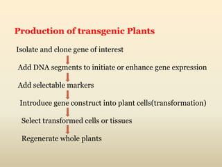 Production of transgenic Plants
Isolate and clone gene of interest
Add DNA segments to initiate or enhance gene expression
Add selectable markers
Introduce gene construct into plant cells(transformation)
Select transformed cells or tissues
Regenerate whole plants
 