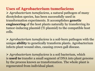 Uses of Agrobacterium tumefaciens
 Agrobacterium tumefaciens, a natural pathogen of many
dicotyledon species, has been successfully used in
transformation experiments. It accomplishes genetic
engineering of the host plants naturally by transferring its
tumor-inducing plasmid (Ti plasmid) to the compatible host
cells.
 Agrobacterium tumefaciens is a soil-born pathogen with the
unique ability to genetically transform plants. Agrobacterium
infects plant wound sites, causing crown gall disease.
 Agrobacterium tumefaciens is a soil bacterium, which
is used to transfer a small segment of DNA into plant genome
by the process known as transformation. The whole plant is
regenerated from individual plant.
 