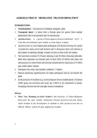 AGROBACTRIUM MEDIATED TRANSFORMATION
INTRODUCTION
1. Transformation - the process of obtaining transgenic plant.
2. Transgenic plant - a plant with a foreign gene (or genes) from another
plant/animal that is incorporated into its chromosome.
3. Agrobacterium - is a genus of Gram-negative bacteria established by H. J.
Conn that uses horizontal gene transfer to cause tumors in plants.
4. Agrobacterium is a rod shaped plant pathogenic soil bacteria having two strains
A.tumifaciens cause crown gall (tumor) and A rhizogenes hairy root disease in
dicot plants by infecting through wounds on roots or stem at the soil surface.
5. The bacterium contains Ti (Tumor inducing ) and Ri (Root inducing) plasmids.
Both these plasmids can transfer part of their DNA (T-DNA) into plant cell
chromosome by which Plant cells become transformed by expression of T-DNA
gene which induce disease.
6. Oncogenes (for auxin and cytokinin synthesis) + Opines.
7. Disease producing Agrobacterium are higly pathogenic and do not benefit the
plant.
8. In the presence of exudates (e.g. acetosyringone) from wounded plants, Virulence
(VIR) genes are activated and cause the t-DNA to be transferred to plants.
Everything between the left and right border is transferred.
History:
9. Marc Van Montagu and Jozef Schell at the University of Ghent (Belgium)
discovered the gene transfer mechanism between Agrobacterium and plants,
which resulted in the development of methods to alter Agrobacterium into an
efficient delivery system for gene engineering in plants.
1
 