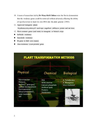 10. A team of researchers led by Dr Mary-Dell Chilton were the first to demonstrate
that the virulence genes could be removed without adversely affecting the ability
of Agrobacterium to insert its own DNA into the plant genome (1983).
11. Approved transgenic plants:
Soyabean,corn,cotton,oil seed rape ,sugarbeet ,tabbacco, potato and nut tress.
12. Most common genes (and traits) in transgenic or biotech crops
 herbicide resistance
 Insecticide resistance
 Bt genes in field corn (maize)
 virus-resistance (coat-protein) genes
2
 