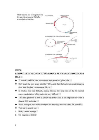 STEPS:
1.USING THE Ti PLASMID TO INTRODUCE NEW GENES INTO A PLANT
CELL

 Only insert the new genes into the T-DNA and then the bacterium could integrate
 In practice this was difficult, mainly because the large size of the Ti plasmid
 The main problem is that a unique restriction site is an impossibility with a
 Novel strategies have to be developed for inserting new DNA into t

1.
2. Co-integration strategy
6
 