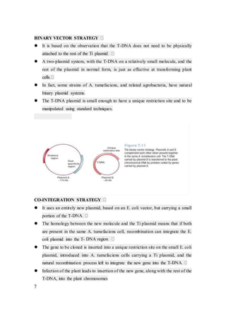 BINARY VECTOR STRATEGY
 It is based on the observation that the T-DNA does not need to be physically
 A two-plasmid system, with the T-DNA on a relatively small molecule, and the
rest of the plasmid in normal form, is just as effective at transforming plant
 In fact, some strains of A. tumefaciens, and related agrobacteria, have natural
binary plasmid systems.
 The T-DNA plasmid is small enough to have a unique restriction site and to be
manipulated using standard techniques.
CO-INTEGRATION STRATEGY
 It uses an entirely new plasmid, based on an E. coli vector, but carrying a small
portion of the T-
 The homology between the new molecule and the Ti plasmid means that if both
are present in the same A. tumefaciens cell, recombination can integrate the E.
coli plasmid into the T-
 The gene to be cloned is inserted into a unique restriction site on the small E. coli
plasmid, introduced into A. tumefaciens cells carrying a Ti plasmid, and the
natural recombination process left to integrate the new gene into the T-
 Infection of the plant leads to insertion of the new gene, along with the rest of the
T-DNA, into the plant chromosomes
7
 