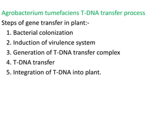 Agrobacterium tumefaciens T-DNA transfer process
Steps of gene transfer in plant:-
1. Bacterial colonization
2. Induction of virulence system
3. Generation of T-DNA transfer complex
4. T-DNA transfer
5. Integration of T-DNA into plant.
 