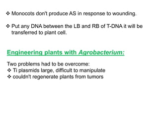  Monocots don't produce AS in response to wounding.
 Put any DNA between the LB and RB of T-DNA it will be
transferred to plant cell.
Engineering plants with Agrobacterium:
Two problems had to be overcome:
 Ti plasmids large, difficult to manipulate
 couldn't regenerate plants from tumors
 