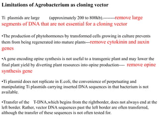 Limitations of Agrobacterium as cloning vector
Ti plasmids are large (approximately 200 to 800kb).--------remove large
segments of DNA that are not essential for a cloning vector
•The production of phytohormones by transformed cells growing in culture prevents
them from being regenerated into mature plants---remove cytokinin and auxin
genes
•A gene encoding opine synthesis is not useful to a transgenic plant and may lower the
final plant yield by diverting plant resources into opine production---- remove opine
synthesis gene
•Ti plasmid does not replicate in E.coli, the convenience of perpetuating and
manipulating Ti plasmids carrying inserted DNA sequences in that bacterium is not
available.
•Transfer of the T-DNA,which begins from the rightborder, does not always end at the
left border. Rather, vector DNA sequences past the left border are often transferred,
although the transfer of these sequences is not often tested for.
 