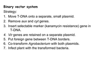Binary vector system
Strategy:
1. Move T-DNA onto a separate, small plasmid.
2. Remove aux and cyt genes.
3. Insert selectable marker (kanamycin resistance) gene in
T-DNA.
4. Vir genes are retained on a separate plasmid.
5. Put foreign gene between T-DNA borders.
6. Co-transform Agrobacterium with both plasmids.
7. Infect plant with the transformed bacteria.
 