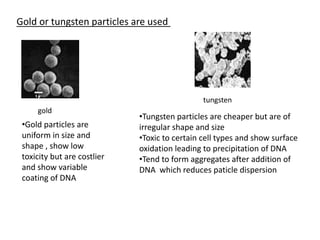 Gold or tungsten particles are used
gold
tungsten
•Tungsten particles are cheaper but are of
irregular shape and size
•Toxic to certain cell types and show surface
oxidation leading to precipitation of DNA
•Tend to form aggregates after addition of
DNA which reduces paticle dispersion
•Gold particles are
uniform in size and
shape , show low
toxicity but are costlier
and show variable
coating of DNA
 