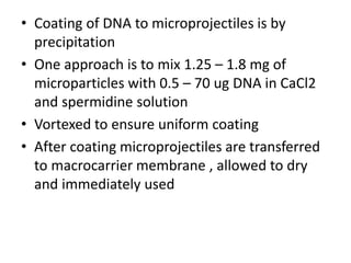 • Coating of DNA to microprojectiles is by
precipitation
• One approach is to mix 1.25 – 1.8 mg of
microparticles with 0.5 – 70 ug DNA in CaCl2
and spermidine solution
• Vortexed to ensure uniform coating
• After coating microprojectiles are transferred
to macrocarrier membrane , allowed to dry
and immediately used
 