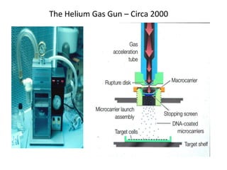 The Helium Gas Gun – Circa 2000
 