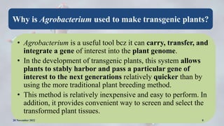 Why is Agrobacterium used to make transgenic plants?
• Agrobacterium is a useful tool bcz it can carry, transfer, and
inte...