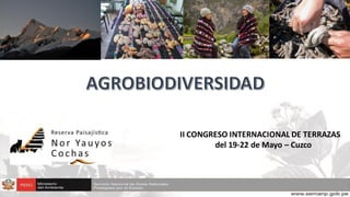 II CONGRESO INTERNACIONAL DE TERRAZAS
del 19-22 de Mayo – Cuzco
 