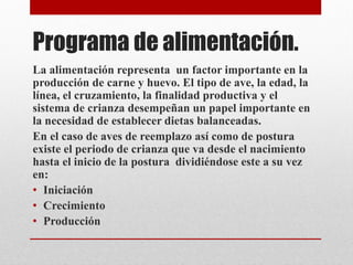 Programa de alimentación.
La alimentación representa un factor importante en la
producción de carne y huevo. El tipo de ave, la edad, la
línea, el cruzamiento, la finalidad productiva y el
sistema de crianza desempeñan un papel importante en
la necesidad de establecer dietas balanceadas.
En el caso de aves de reemplazo así como de postura
existe el periodo de crianza que va desde el nacimiento
hasta el inicio de la postura dividiéndose este a su vez
en:
• Iniciación
• Crecimiento
• Producción
 