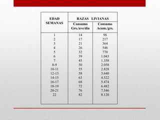 EDAD
SEMANAS
RAZAS LIVIANAS
Consumo
Grs./ave/día
Consumo
Acum./grs.
1
2
3
4
5
6
7
8-9
10-11
12-13
14-15
16-17
18-19
20-21
22
14
17
21
26
32
39
45
50
55
58
63
68
72
76
82
98
217
364
546
770
1.043
1.358
2.058
2.828
3.640
4.522
5.474
6.482
7.546
8.120
 