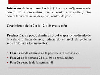 Iniciación de la semana 1 a la 8 (12 aves x m²), comprende
control de la temperatura, vacuna contra new castle y otra
contra la viruela aviar, despique, control de peso.
Crecimiento de la 7 a la 12, (10 aves x m²):
Producción: se puede dividir en 3 o 4 etapas dependiendo de
la estirpe o línea de ave, reduciendo el nivel de proteína
separándolas en los siguientes:
• Fase 1: desde el inicio de la postura a la semana 20
• Fase 2: de la semana 21 a la 40 de producción y
• Fase 3: después de la semana 41
 
