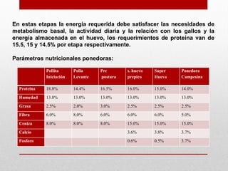 Pollita
Iniciación
Polla
Levante
Pre
postura
s. huevo
prepico
Super
Huevo
Ponedora
Campesina
Proteína 18.8% 14.4% 16.5% 16.0% 15.0% 14.0%
Humedad 13.8% 13.0% 13.0% 13.0% 13.0% 13.0%
Grasa 2.5% 2.0% 3.0% 2.5% 2.5% 2.5%
Fibra 6.0% 8.0% 6.0% 6.0% 6.0% 5.0%
Ceniza 8.0% 8.0% 8.0% 15.0% 15.0% 15.0%
Calcio 3.6% 3.8% 3.7%
Fosforo 0.6% 0.5% 3.7%
En estas etapas la energía requerida debe satisfacer las necesidades de
metabolismo basal, la actividad diaria y la relación con los gallos y la
energía almacenada en el huevo, los requerimientos de proteína van de
15.5, 15 y 14.5% por etapa respectivamente.
Parámetros nutricionales ponedoras:
 