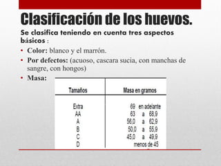 Clasificación de los huevos.
Se clasifica teniendo en cuenta tres aspectos
básicos :
• Color: blanco y el marrón.
• Por defectos: (acuoso, cascara sucia, con manchas de
sangre, con hongos)
• Masa:
 
