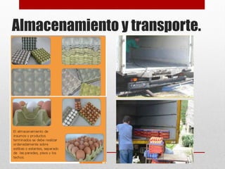 Almacenamiento y transporte.
 